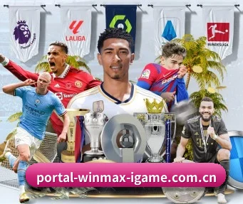 爱游戏全站 APP